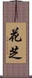花芝 Scroll