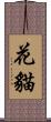 花貓 Scroll