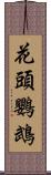 花頭鸚鵡 Scroll