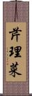 芹理菜 Scroll