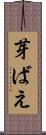 芽ばえ Scroll