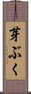 芽ぶく Scroll