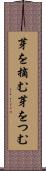 芽を摘む Scroll