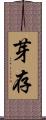 芽存 Scroll