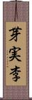 芽実李 Scroll