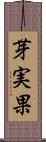 芽実果 Scroll