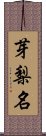 芽梨名 Scroll