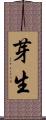芽生 Scroll