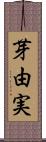 芽由実 Scroll