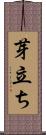 芽立ち Scroll