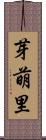 芽萌里 Scroll