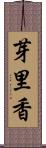 芽里香 Scroll