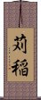 苅稲 Scroll