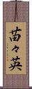 苗々英 Scroll
