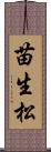 苗生松 Scroll