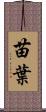 苗葉 Scroll