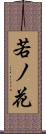 若ノ花 Scroll