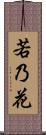 若乃花 Scroll