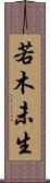 若木未生 Scroll