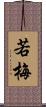 若梅 Scroll
