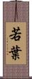 若葉 Scroll