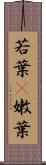 若葉(P) Scroll