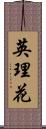 英理花 Scroll
