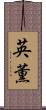 英薫 Scroll