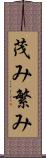 茂み Scroll