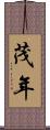 茂年 Scroll