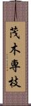 茂木専枝 Scroll
