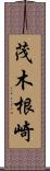 茂木根崎 Scroll
