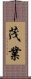 茂業 Scroll