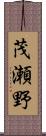 茂瀬野 Scroll