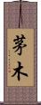 茅木 Scroll