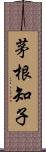 茅根知子 Scroll