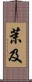 茉及 Scroll