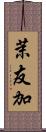 茉友加 Scroll