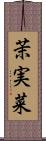 茉実菜 Scroll