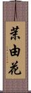 茉由花 Scroll