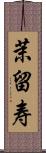 茉留寿 Scroll