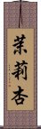 茉莉杏 Scroll