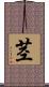 茎 Scroll
