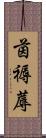 茵 Scroll