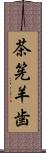 茶筅羊歯 Scroll