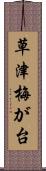 草津梅が台 Scroll