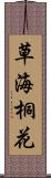 草海桐花 Scroll