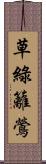 草綠籬鶯 Scroll