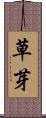 草芽 Scroll