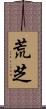 荒芝 Scroll